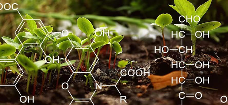 >腐殖酸復合沸石基抗鹽緩釋肥